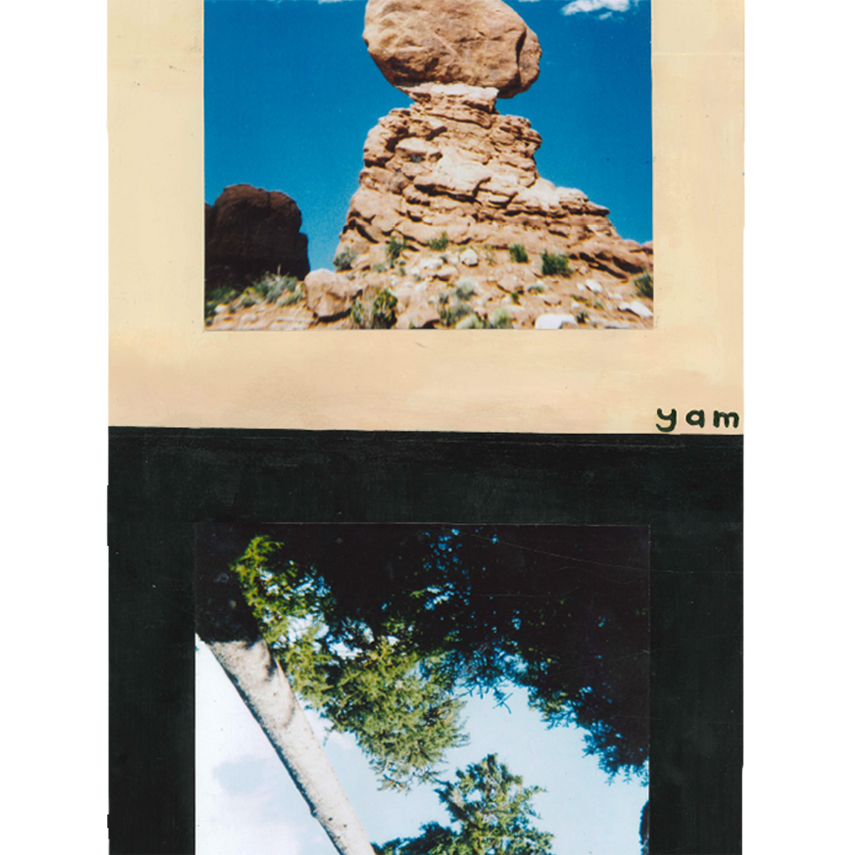 Photos