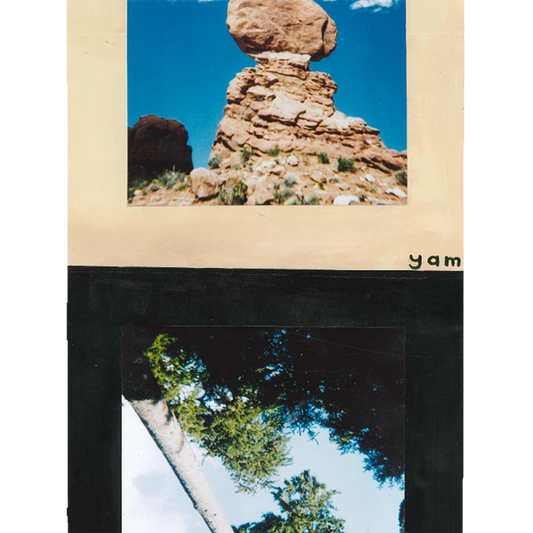 Photos