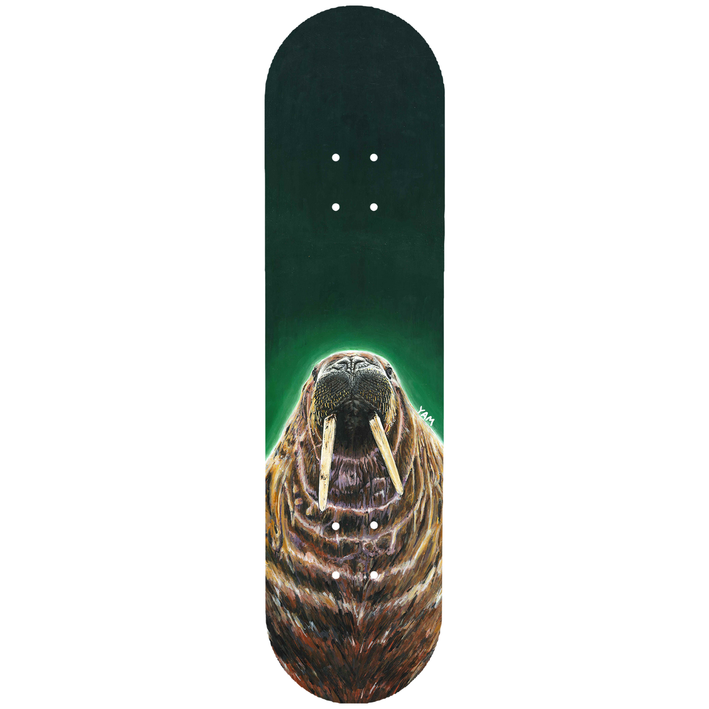 Walrus
